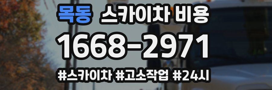 목동 스카이차 비용