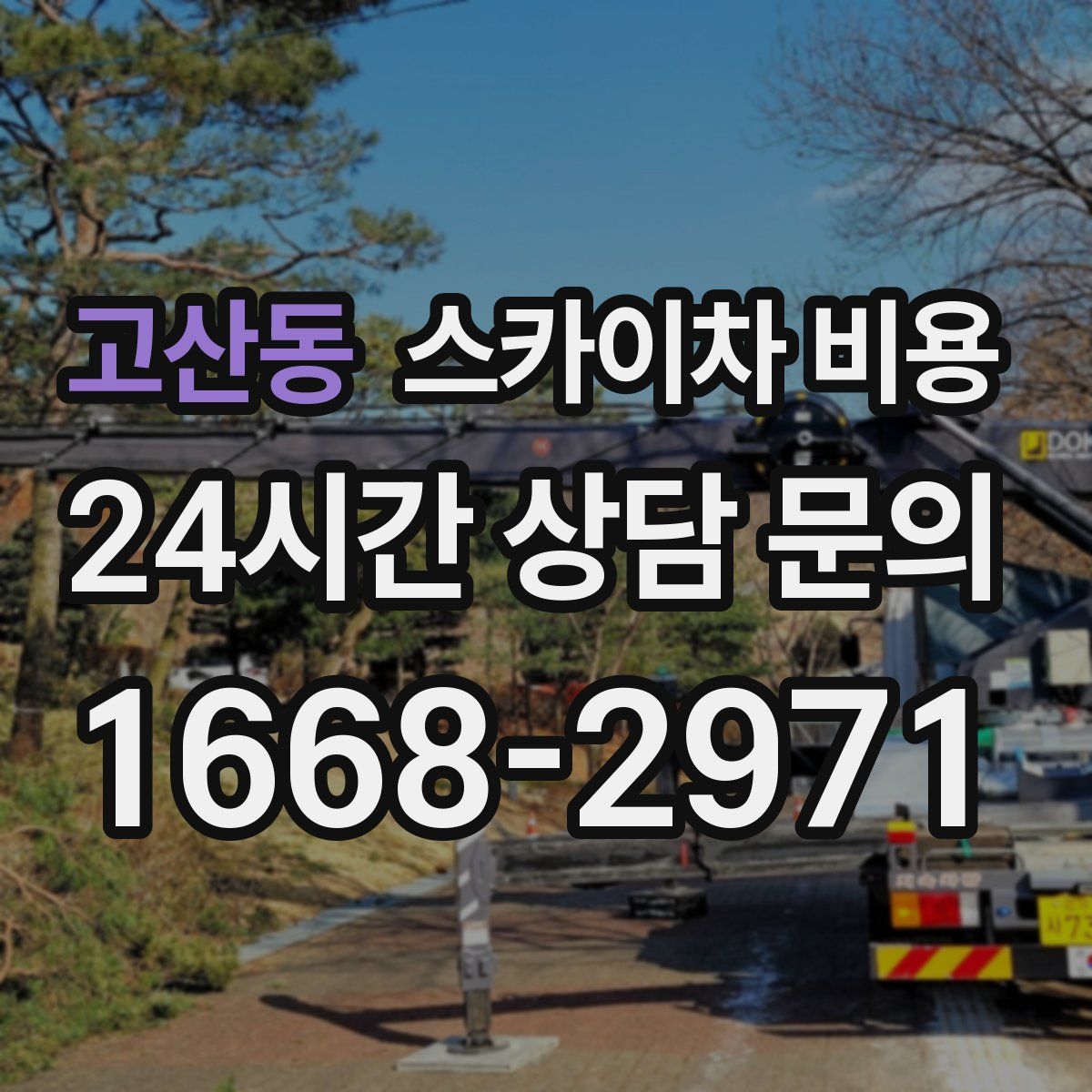 고산동 스카이차 비용