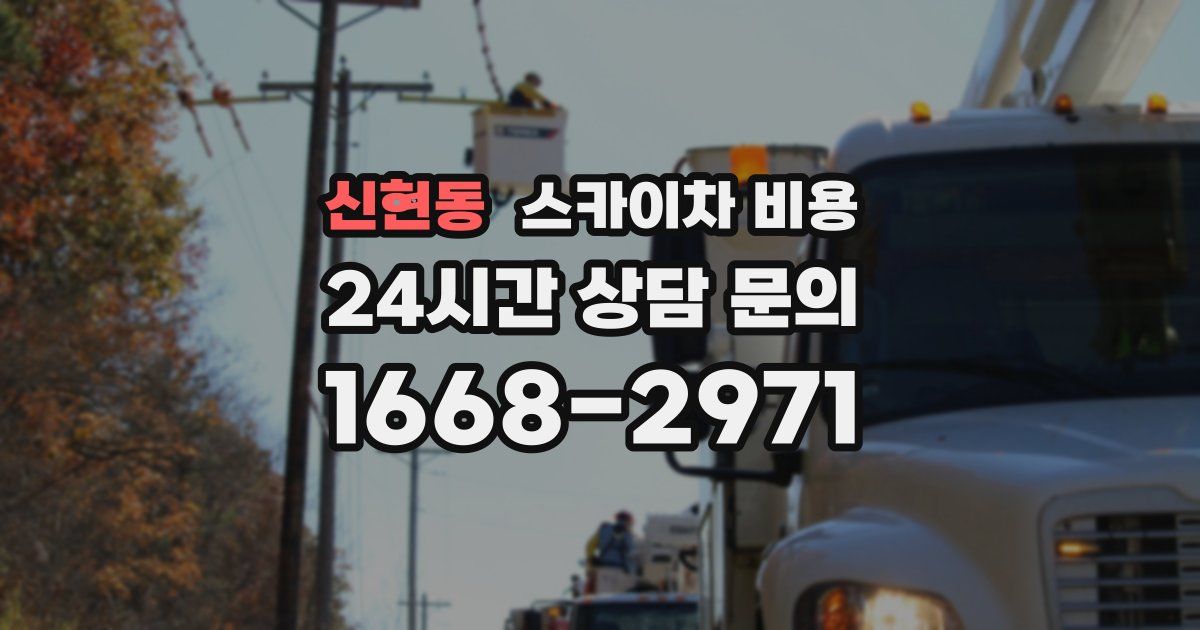 신현동 스카이차 비용