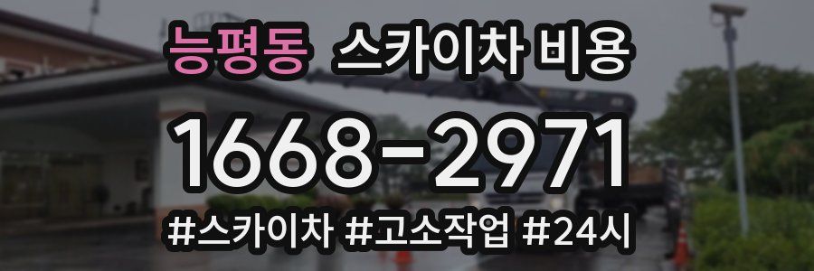 능평동 스카이차 비용