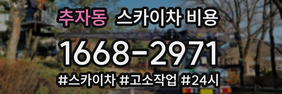 추자동 스카이차 비용