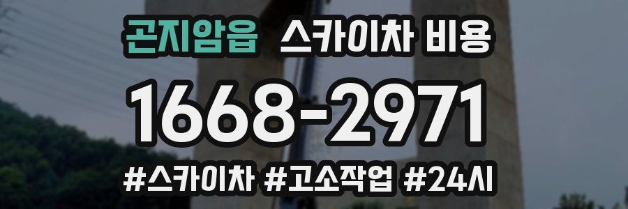 곤지암읍 스카이차 비용