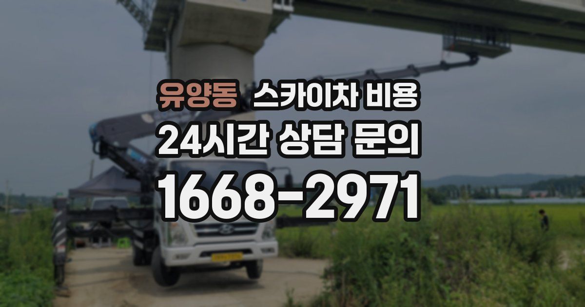 유양동 스카이차 비용