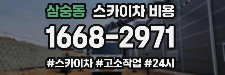 삼숭동 스카이차 비용