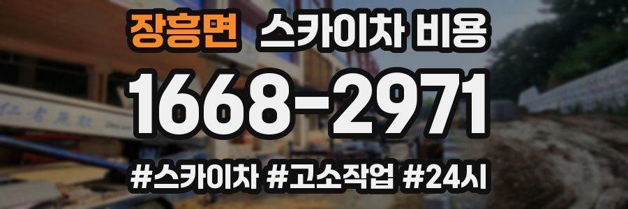 장흥면 스카이차 비용