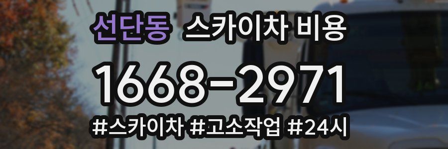 선단동 스카이차 비용