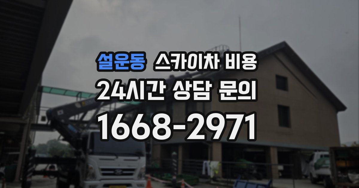 설운동 스카이차 비용