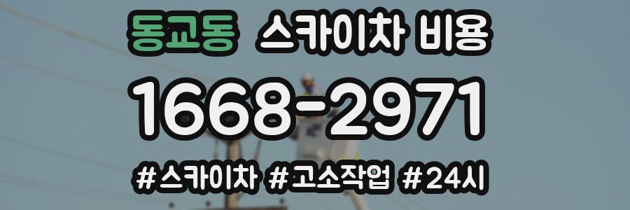 동교동 스카이차 비용