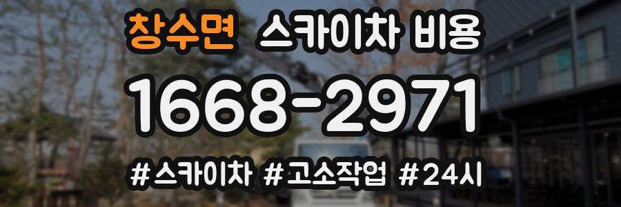 창수면 스카이차 비용