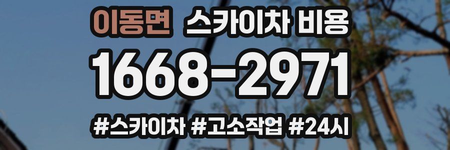 이동면 스카이차 비용