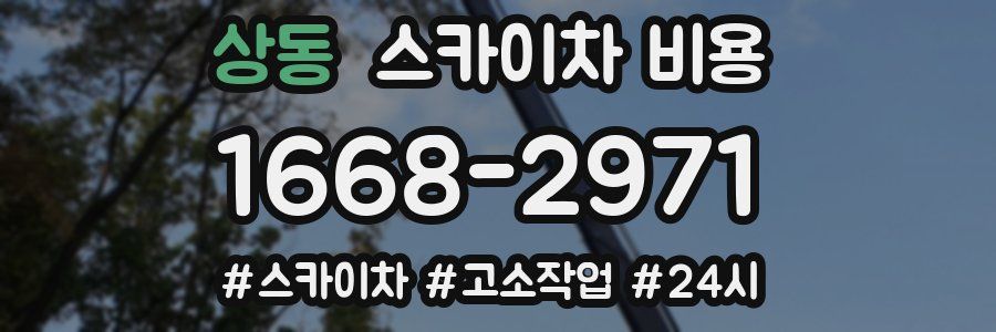 상동 스카이차 비용