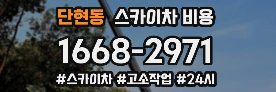 단현동 스카이차 비용