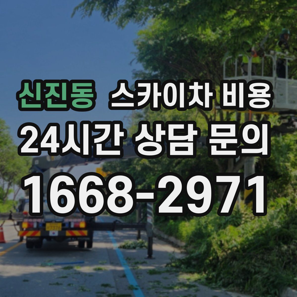 신진동 스카이차 비용