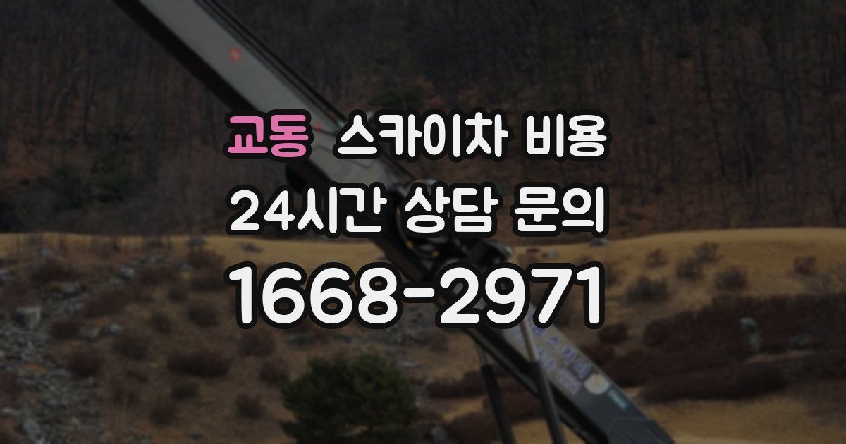 교동 스카이차 비용