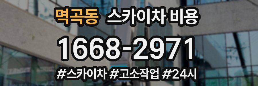 멱곡동 스카이차 비용