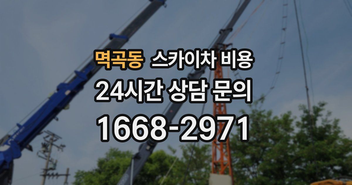 멱곡동 스카이차 비용