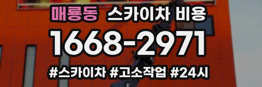 매룡동 스카이차 비용