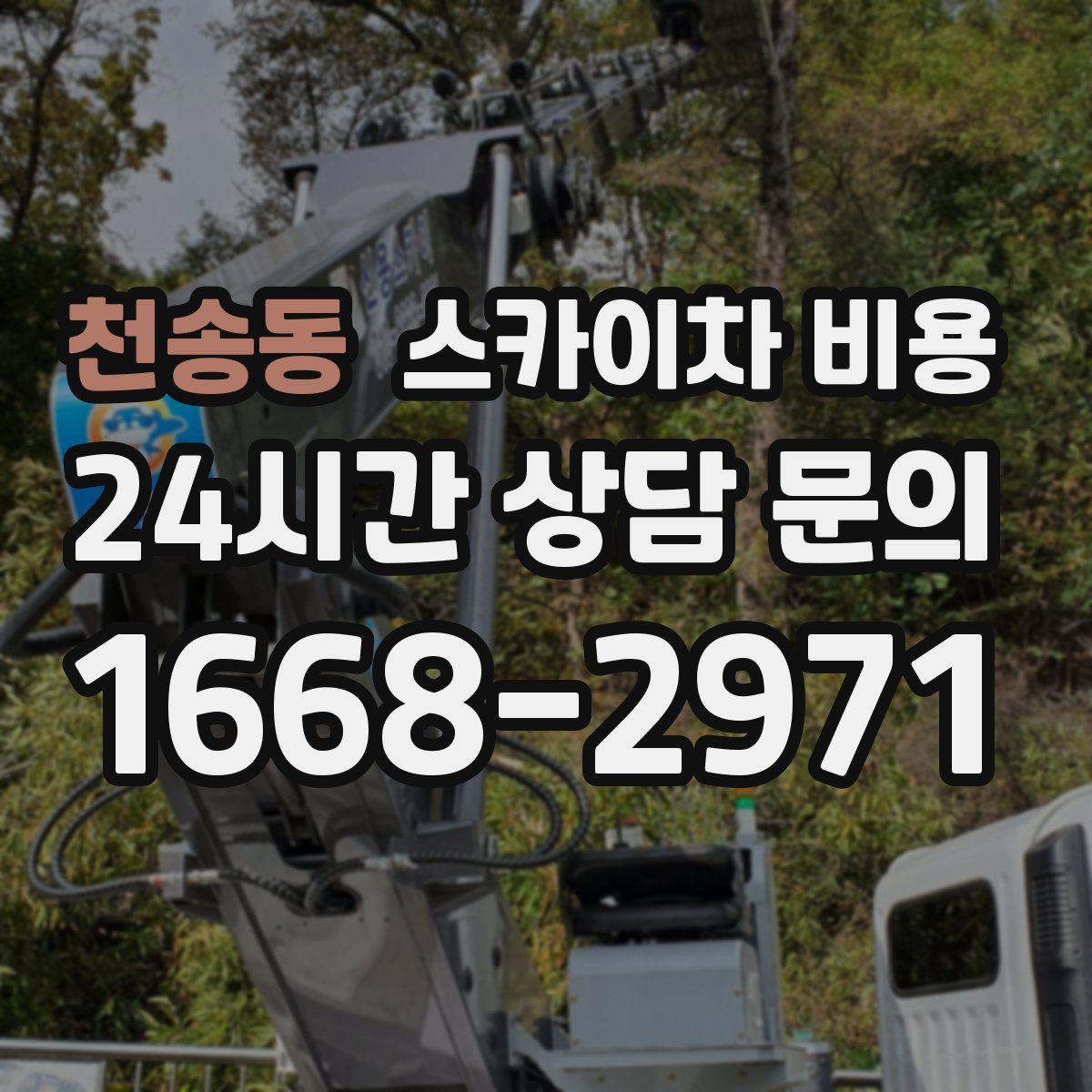 천송동 스카이차 비용