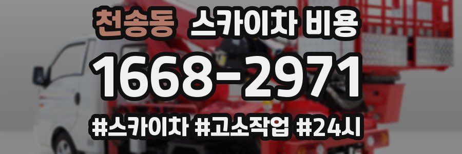 천송동 스카이차 비용