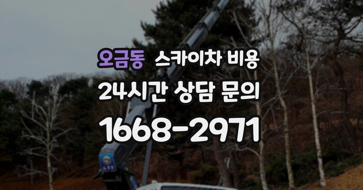 오금동 스카이차 비용