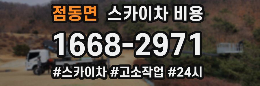 점동면 스카이차 비용