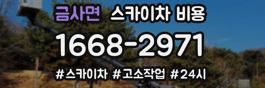 금사면 스카이차 비용