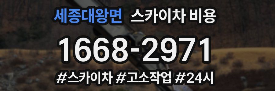 세종대왕면 스카이차 비용