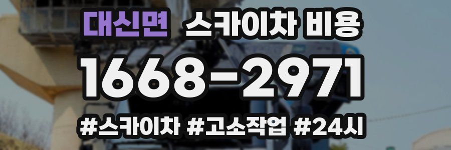 대신면 스카이차 비용