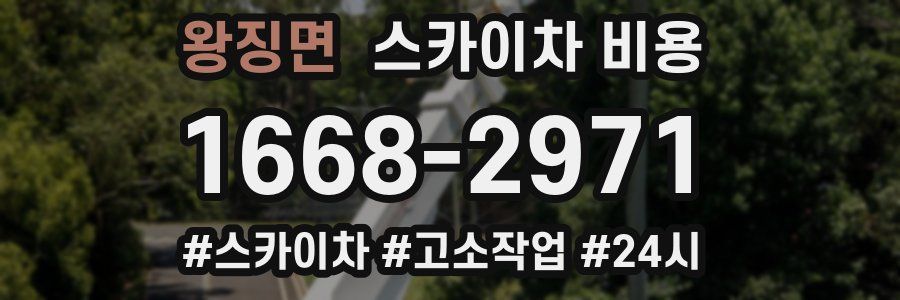 왕징면 스카이차 비용