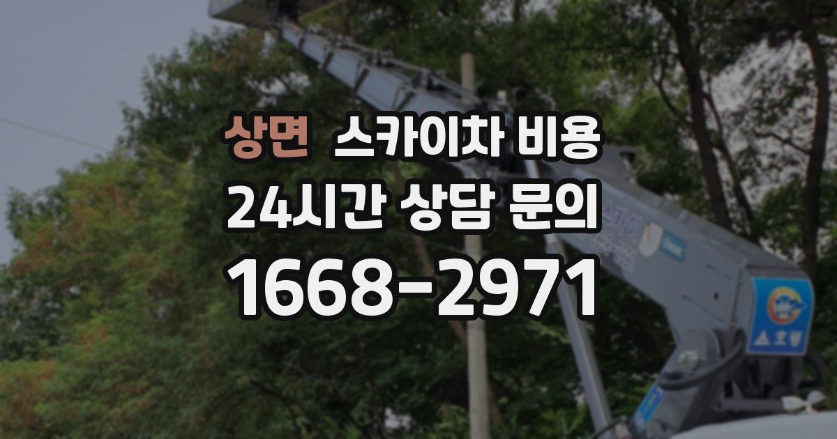 상면 스카이차 비용