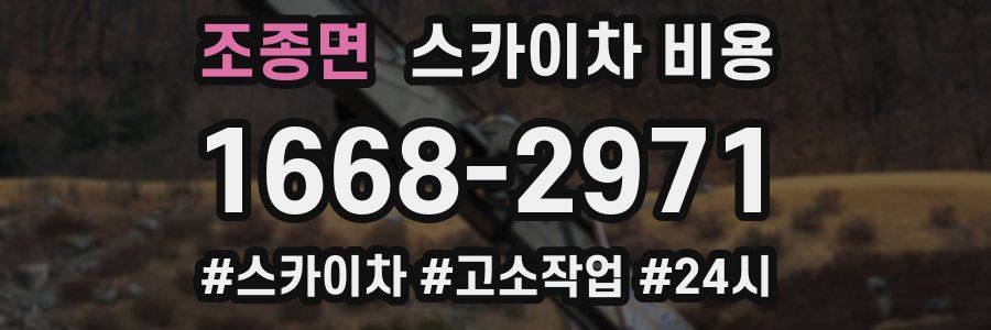 조종면 스카이차 비용