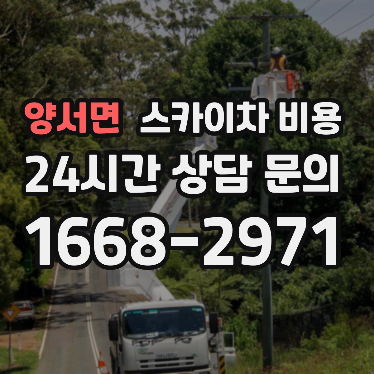 양서면 스카이차 비용