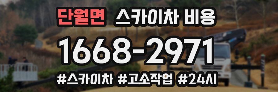 단월면 스카이차 비용