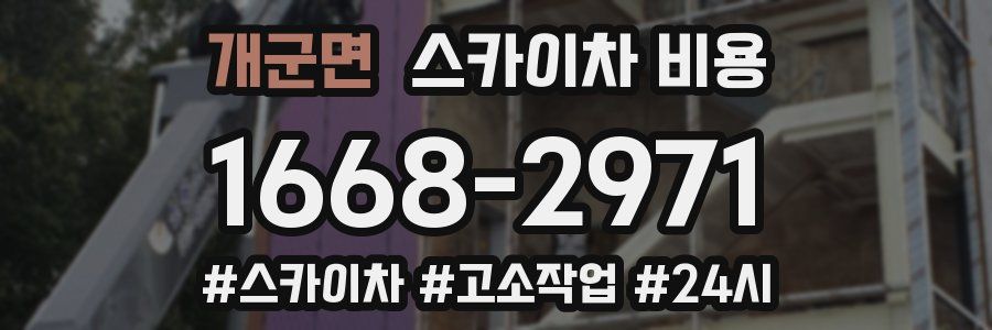 개군면 스카이차 비용