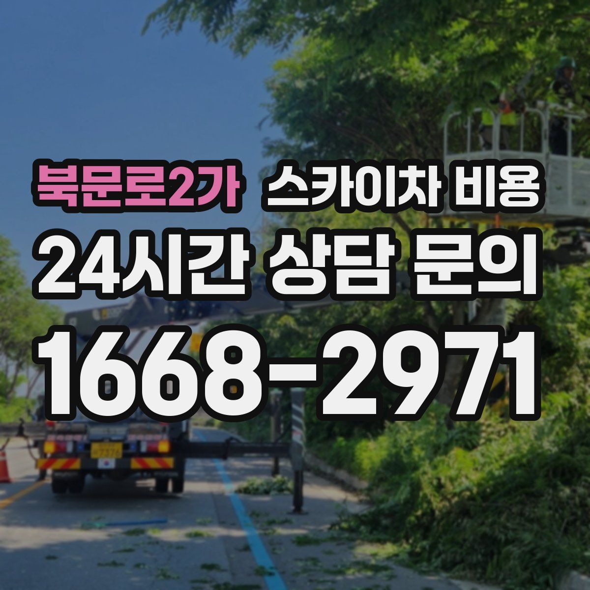 북문로2가 스카이차 비용