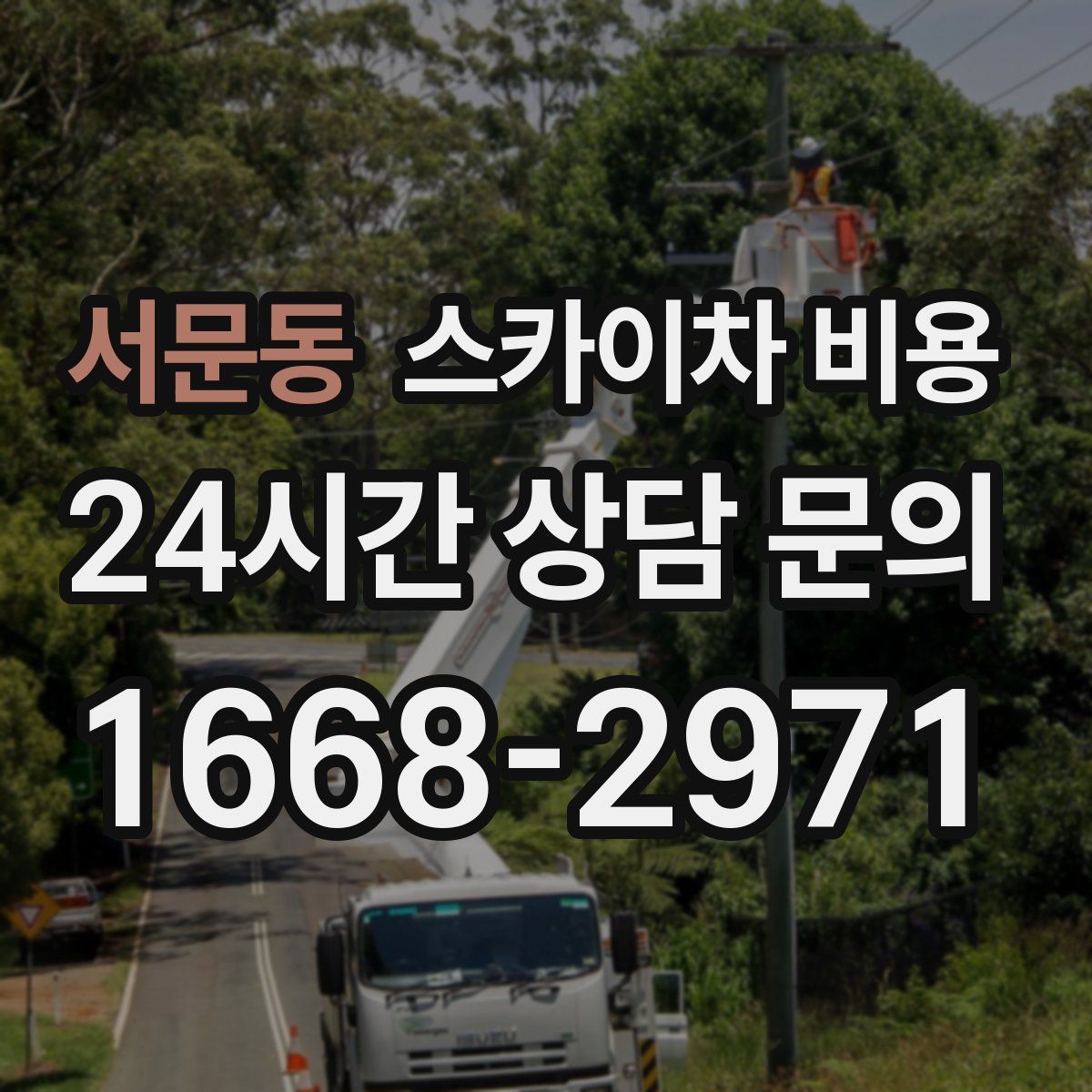 서문동 스카이차 비용