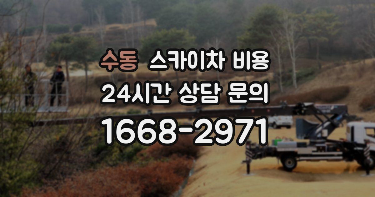 수동 스카이차 비용