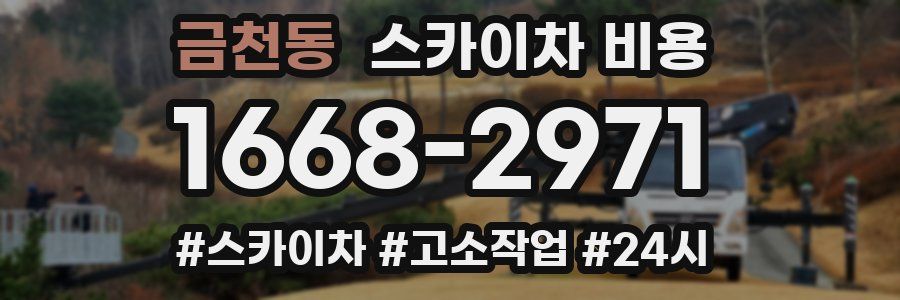 금천동 스카이차 비용