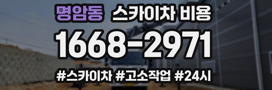 명암동 스카이차 비용