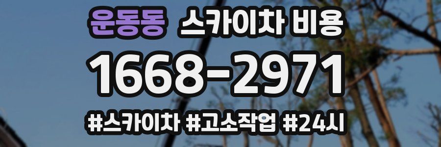 운동동 스카이차 비용