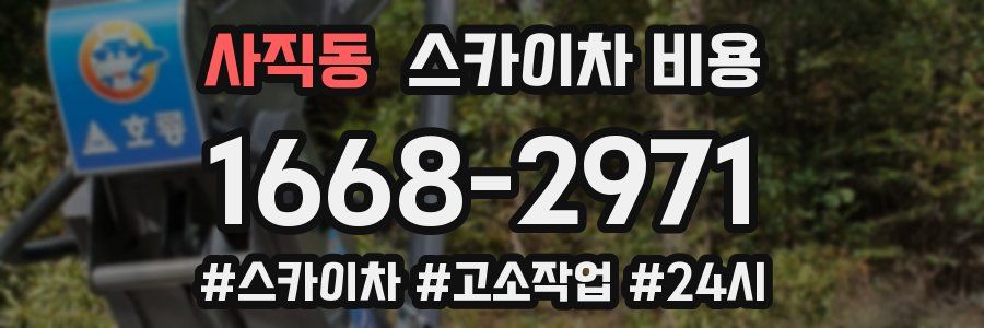 사직동 스카이차 비용