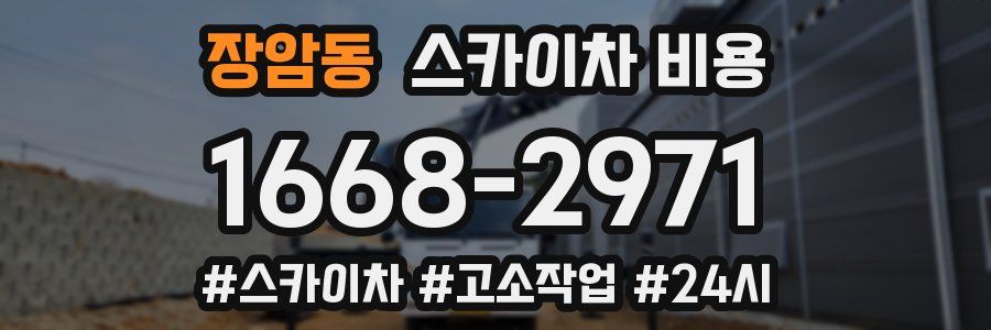 장암동 스카이차 비용