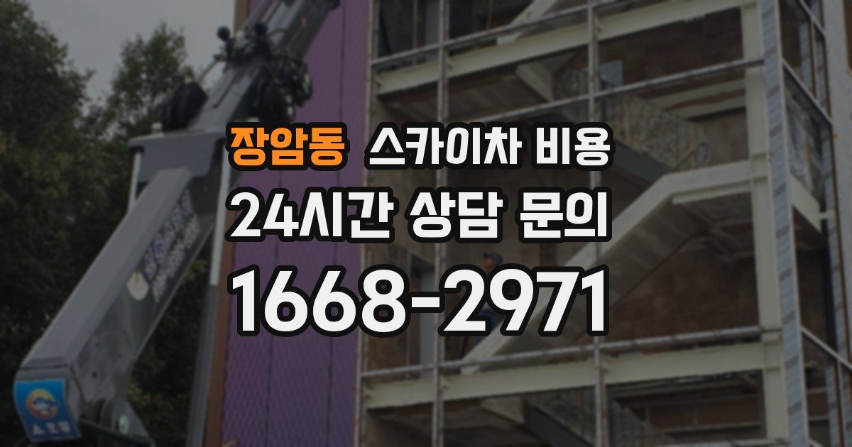 장암동 스카이차 비용