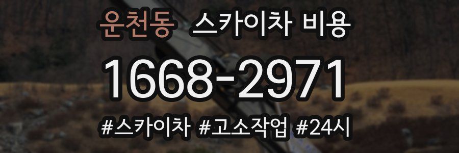 운천동 스카이차 비용