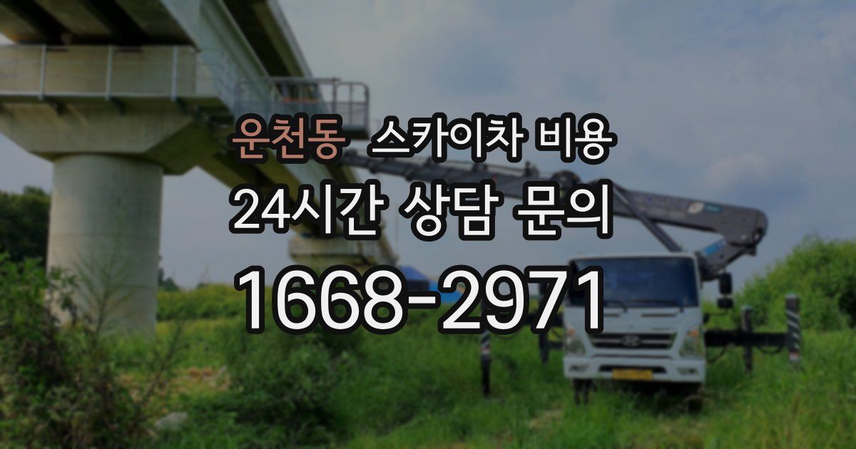 운천동 스카이차 비용