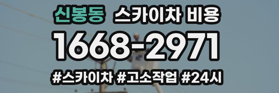 신봉동 스카이차 비용