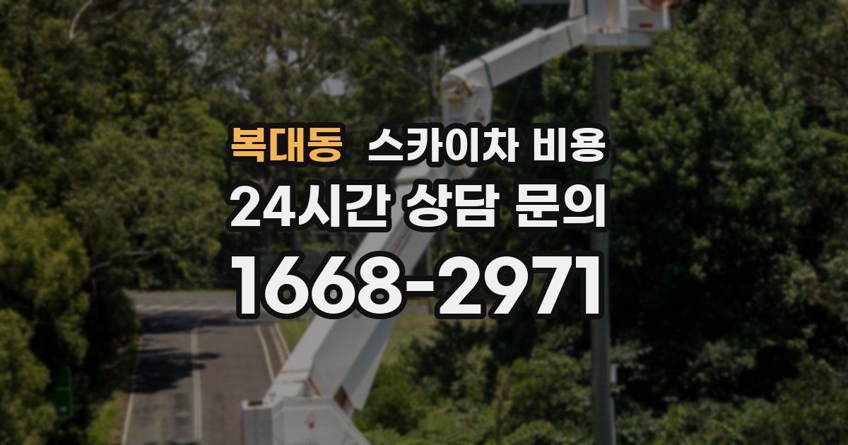 복대동 스카이차 비용