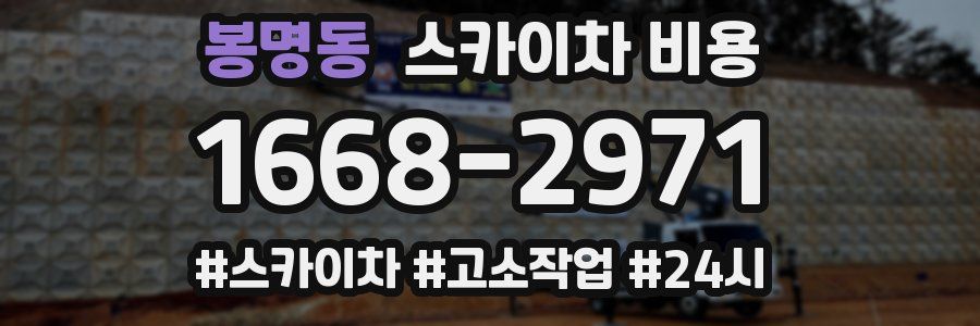 봉명동 스카이차 비용