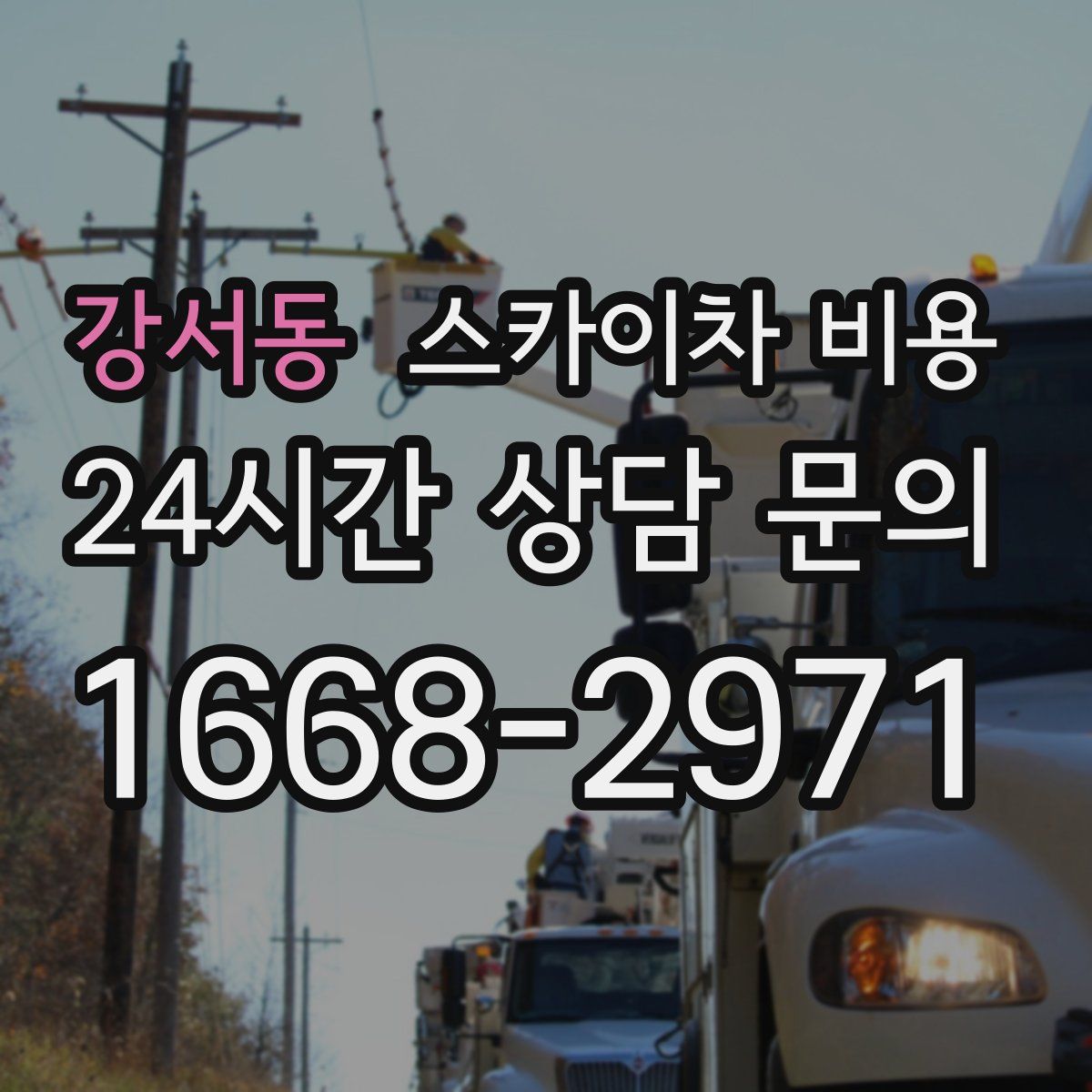 강서동 스카이차 비용