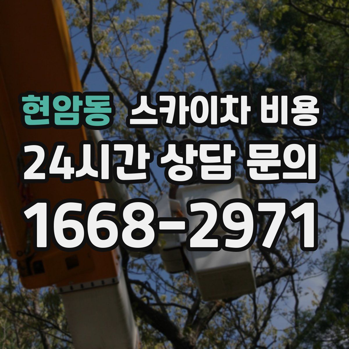 현암동 스카이차 비용